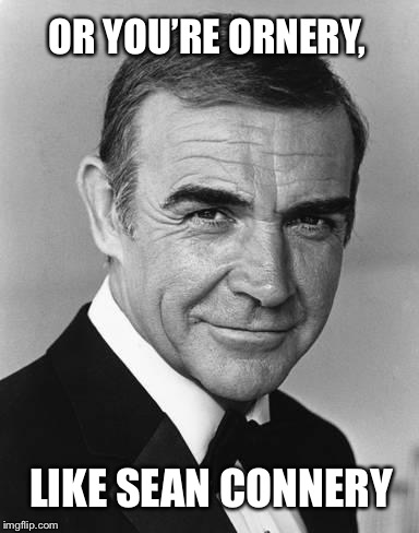 OR YOU’RE ORNERY, LIKE SEAN CONNERY | made w/ Imgflip meme maker