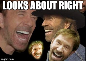 Chuck Norris LOL | LOOKS ABOUT RIGHT | image tagged in chuck norris lol | made w/ Imgflip meme maker