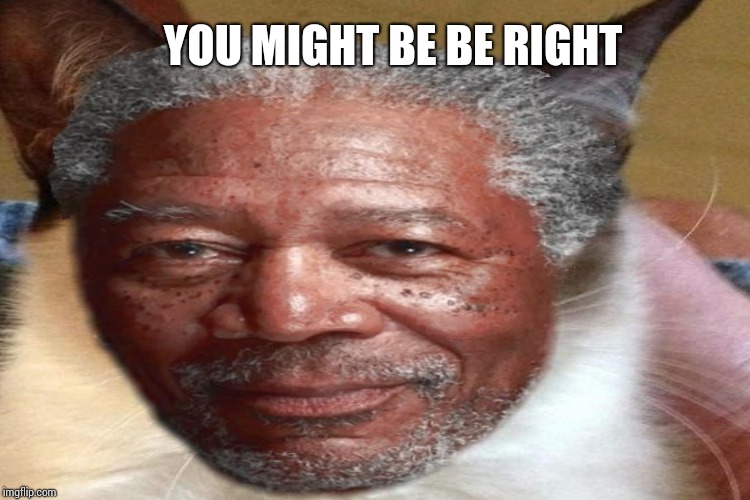 YOU MIGHT BE BE RIGHT | made w/ Imgflip meme maker