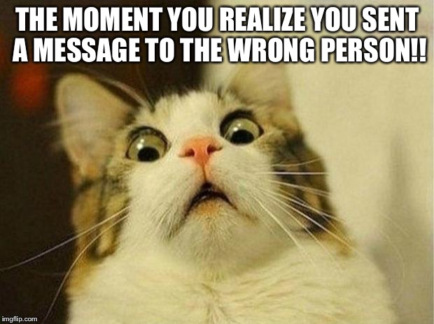 Scared Cat Meme | THE MOMENT YOU REALIZE YOU SENT A MESSAGE TO THE WRONG PERSON!! | image tagged in memes,scared cat | made w/ Imgflip meme maker
