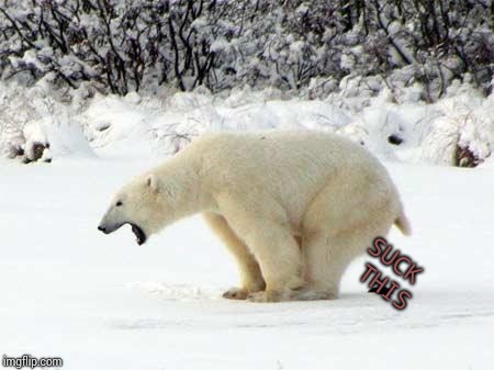 Polar Bear Shits in the Snow | SUCK THIS | image tagged in polar bear shits in the snow | made w/ Imgflip meme maker