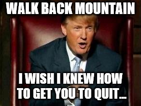 Donald Trump | WALK BACK MOUNTAIN; I WISH I KNEW HOW TO GET YOU TO QUIT... | image tagged in donald trump | made w/ Imgflip meme maker