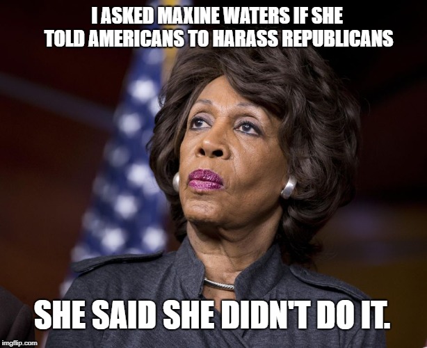 It Wasn't Me | I ASKED MAXINE WATERS IF SHE TOLD AMERICANS TO HARASS REPUBLICANS; SHE SAID SHE DIDN'T DO IT. | image tagged in donald trump approves,maxine waters,auntie maxine,vladimir putin | made w/ Imgflip meme maker