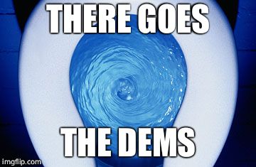 Blue wave | THERE GOES THE DEMS | image tagged in blue wave | made w/ Imgflip meme maker