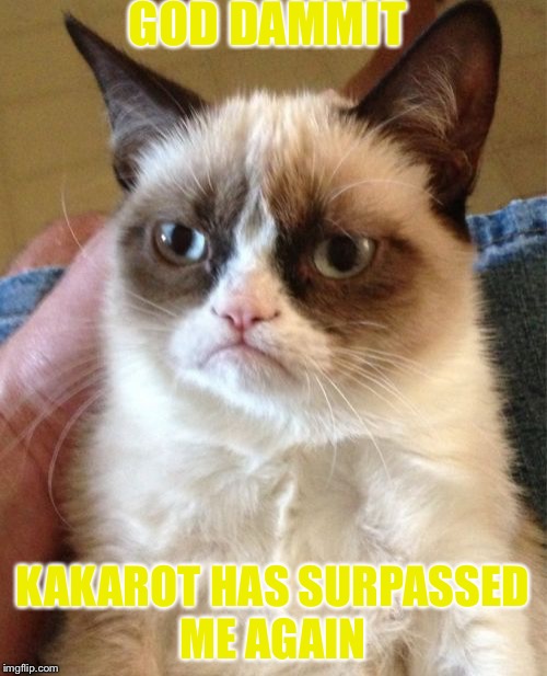 Grumpy Cat | GOD DAMMIT; KAKAROT HAS SURPASSED ME AGAIN | image tagged in memes,grumpy cat | made w/ Imgflip meme maker