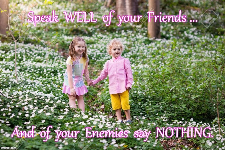 Speak Well or Say Nothing... | Speak  WELL  of  your  Friends ... And  of  your  Enemies  say  NOTHING. | image tagged in friends,enemies,speak well,say nothing | made w/ Imgflip meme maker