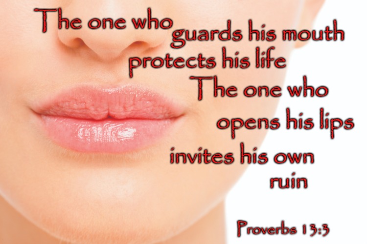 Proverbs 13:3 Loose lips.... | The one who; guards his mouth; protects his life; The one who; opens his lips; invites his own; ruin; Proverbs 13:3 | image tagged in bible,holy bible,bible verse,verse,god,holy spirit | made w/ Imgflip meme maker