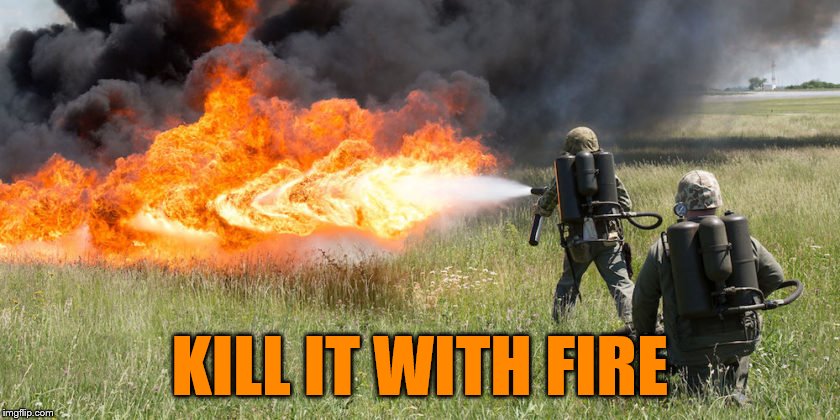 KILL IT WITH FIRE | made w/ Imgflip meme maker