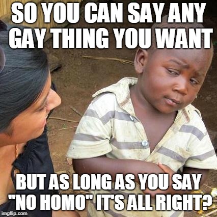 There are rules to everything in life. | SO YOU CAN SAY ANY GAY THING YOU WANT; BUT AS LONG AS YOU SAY "NO HOMO" IT'S ALL RIGHT? | image tagged in memes,third world skeptical kid | made w/ Imgflip meme maker