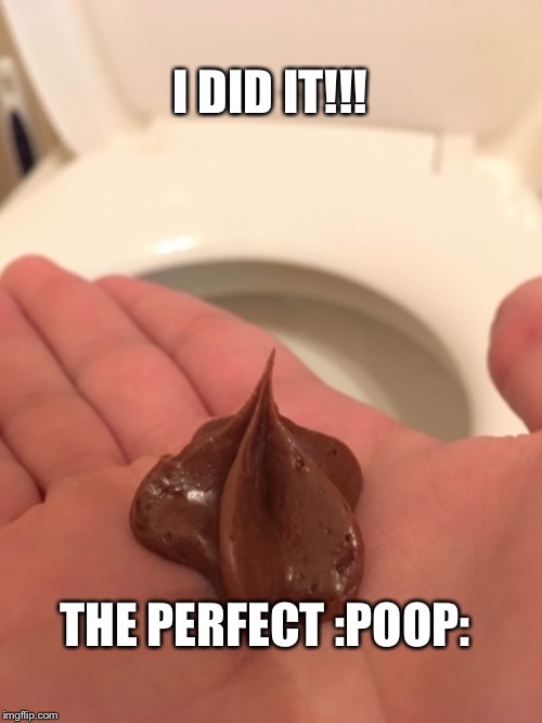 Perfect poop | I DID IT!!! THE PERFECT :POOP: | image tagged in perfect,poop | made w/ Imgflip meme maker
