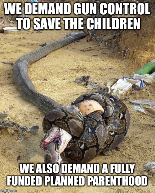 WE DEMAND GUN CONTROL TO SAVE THE CHILDREN; WE ALSO DEMAND A FULLY FUNDED PLANNED PARENTHOOD | image tagged in liberal ideology | made w/ Imgflip meme maker