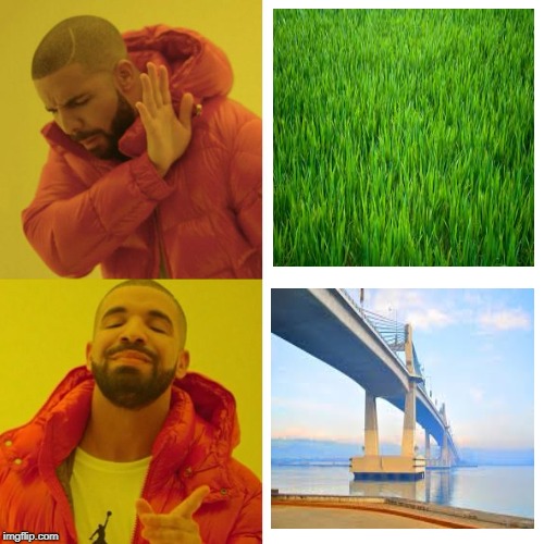 Drake Blank | image tagged in drake blank | made w/ Imgflip meme maker