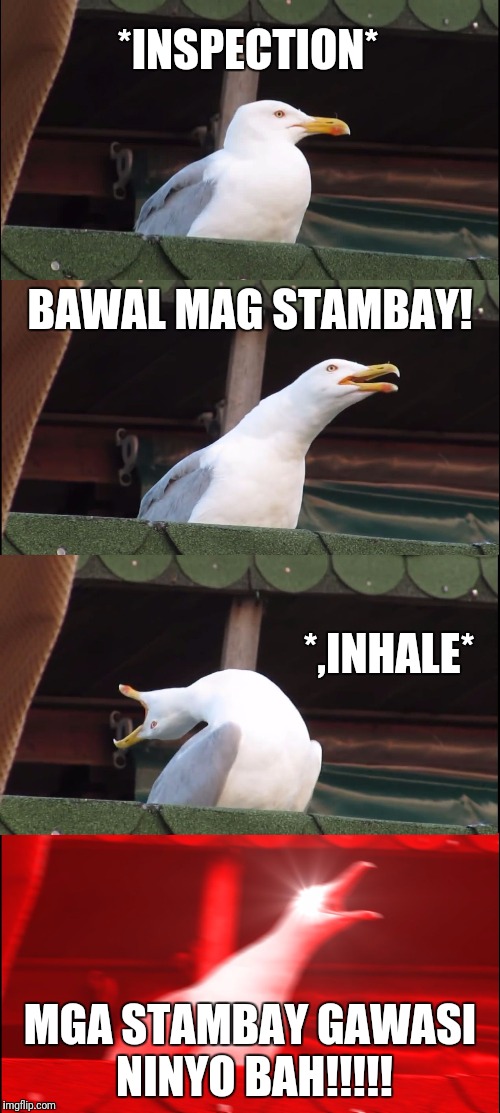 Inhaling Seagull | *INSPECTION*; BAWAL MAG STAMBAY! *,INHALE*; MGA STAMBAY GAWASI NINYO BAH!!!!! | image tagged in memes,inhaling seagull | made w/ Imgflip meme maker