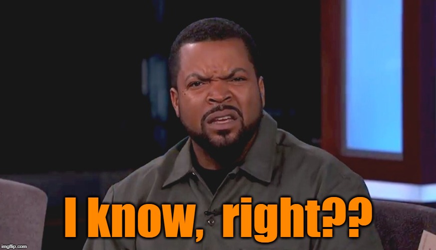 Really? Ice Cube | I know,  right?? | image tagged in really ice cube | made w/ Imgflip meme maker