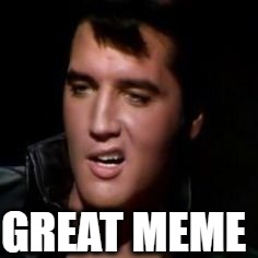 Elvis, thank you | GREAT MEME | image tagged in elvis thank you | made w/ Imgflip meme maker