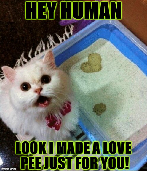 HEY HUMAN; LOOK I MADE A LOVE PEE JUST FOR YOU! | image tagged in a love pee | made w/ Imgflip meme maker