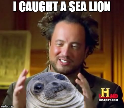 Ancient Aliens Meme | I CAUGHT A SEA LION | image tagged in memes,ancient aliens | made w/ Imgflip meme maker