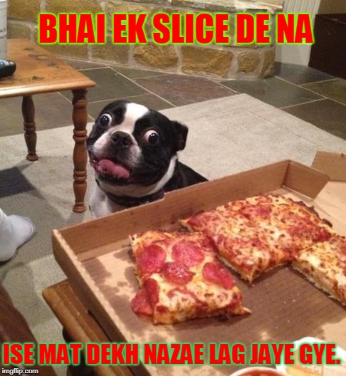 PIZZA LOVER | BHAI EK SLICE DE NA; ISE MAT DEKH NAZAE LAG JAYE GYE. | image tagged in hungry pizza dog,pizza,dog,small town pizza lawyer,memes,imgflip users | made w/ Imgflip meme maker