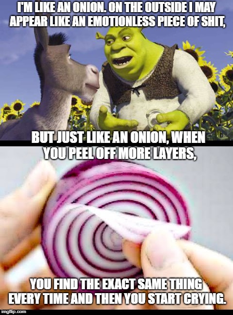 I'm like an onion. | I'M LIKE AN ONION. ON THE OUTSIDE I MAY APPEAR LIKE AN EMOTIONLESS PIECE OF SHIT, BUT JUST LIKE AN ONION, WHEN YOU PEEL OFF MORE LAYERS, YOU FIND THE EXACT SAME THING EVERY TIME AND THEN YOU START CRYING. | image tagged in shrek onion simile | made w/ Imgflip meme maker