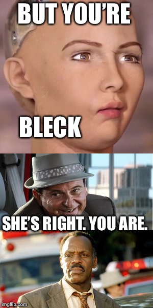 Free South Africa | BUT YOU’RE; BLECK; SHE’S RIGHT. YOU ARE. | image tagged in lethal robot,leo gets murtachs lunch,memes | made w/ Imgflip meme maker