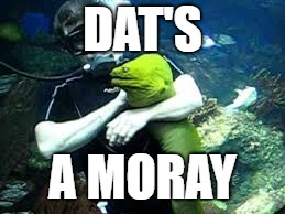 DAT'S A MORAY | made w/ Imgflip meme maker