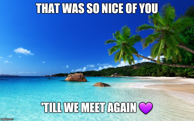 tropical island birthday | THAT WAS SO NICE OF YOU; 'TILL WE MEET AGAIN 💜 | image tagged in tropical island birthday | made w/ Imgflip meme maker