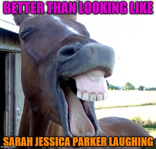 Well she does sort of looks like this | BETTER THAN LOOKING LIKE; SARAH JESSICA PARKER LAUGHING | image tagged in horse,funny meme,laughing,so true memes | made w/ Imgflip meme maker