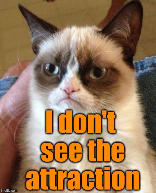 Grumpy Cat Meme | I don't see the attraction | image tagged in memes,grumpy cat | made w/ Imgflip meme maker