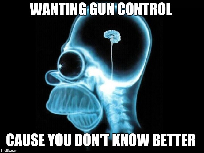 WANTING GUN CONTROL CAUSE YOU DON'T KNOW BETTER | image tagged in homer | made w/ Imgflip meme maker