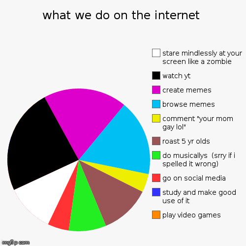 we have no time for halo when memes exist   | what we do on the internet | play video games , study and make good use of it, go on social media, do musicallys  (srry if i spelled it wron | image tagged in funny,pie charts | made w/ Imgflip chart maker