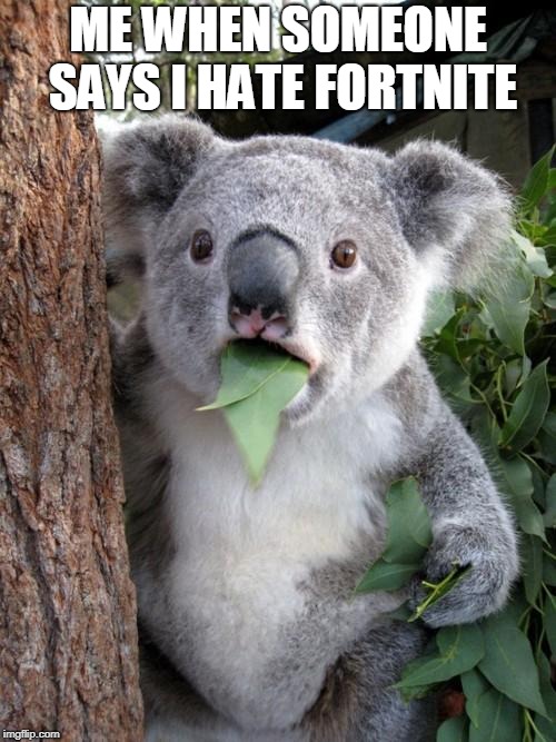 Surprised Koala Meme | ME WHEN SOMEONE SAYS I HATE FORTNITE | image tagged in memes,surprised koala | made w/ Imgflip meme maker