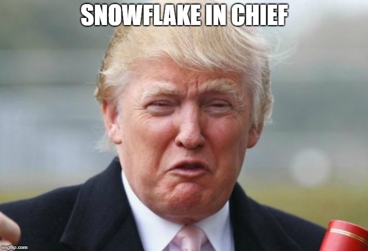Trump Crybaby | SNOWFLAKE IN CHIEF | image tagged in trump crybaby | made w/ Imgflip meme maker