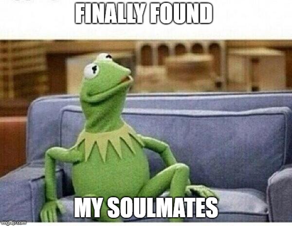 KERMIT | FINALLY FOUND; MY SOULMATES | image tagged in kermit | made w/ Imgflip meme maker