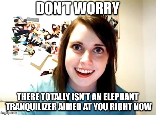 Overly Attached Girlfriend | DON’T WORRY; THERE TOTALLY ISN’T AN ELEPHANT TRANQUILIZER AIMED AT YOU RIGHT NOW | image tagged in memes,overly attached girlfriend,kidnapping | made w/ Imgflip meme maker