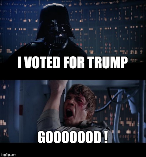 Star Wars No Meme | I VOTED FOR TRUMP GOOOOOOD ! | image tagged in memes,star wars no | made w/ Imgflip meme maker