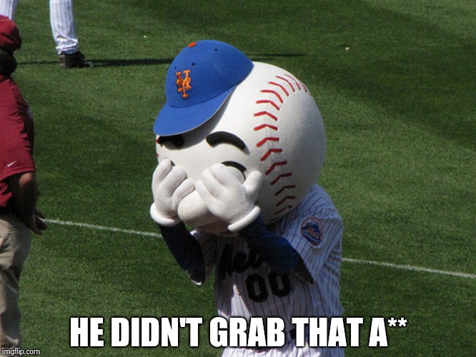 Mr. Met | HE DIDN'T GRAB THAT A** | image tagged in mr met | made w/ Imgflip meme maker