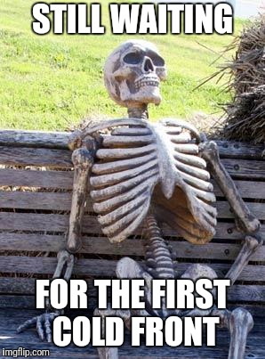 Waiting Skeleton Meme | STILL WAITING FOR THE FIRST COLD FRONT | image tagged in memes,waiting skeleton | made w/ Imgflip meme maker
