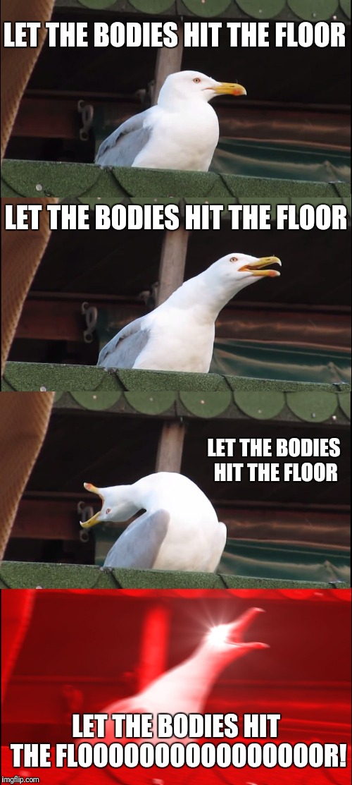 Let me hear you scream! | LET THE BODIES HIT THE FLOOR; LET THE BODIES HIT THE FLOOR; LET THE BODIES HIT THE FLOOR; LET THE BODIES HIT THE FLOOOOOOOOOOOOOOOOR! | image tagged in memes,inhaling seagull | made w/ Imgflip meme maker