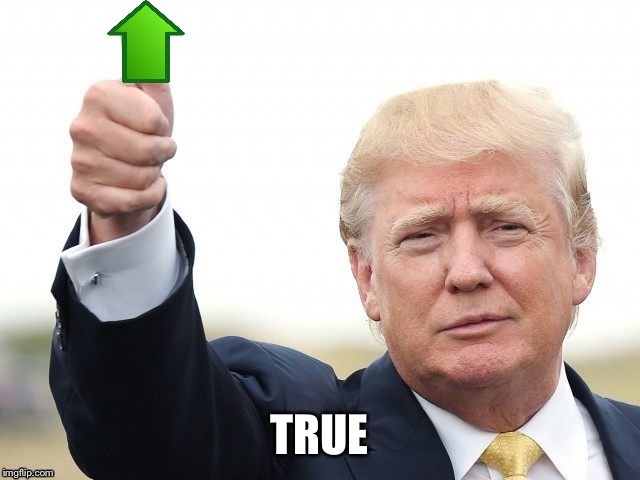 Trump Upvote | TRUE | image tagged in trump upvote | made w/ Imgflip meme maker