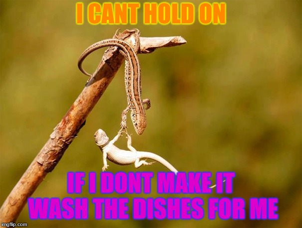 Mom and son  | I CANT HOLD ON; IF I DONT MAKE IT WASH THE DISHES FOR ME | image tagged in moms | made w/ Imgflip meme maker