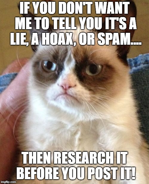Grumpy Cat | IF YOU DON'T WANT ME TO TELL YOU IT'S A LIE, A HOAX, OR SPAM.... THEN RESEARCH IT BEFORE YOU POST IT! | image tagged in memes,grumpy cat | made w/ Imgflip meme maker