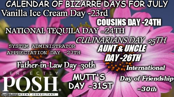 CALENDAR OF BIZARRE DAYS FOR JULY; Vanilla Ice Cream Day -23rd; COUSINS DAY -24TH; NATIONAL TEQUILA DAY -24TH; CULINARIANS DAY -25TH; SYSTEM ADMINISTRATOR APPRECIATION DAY -27TH; AUNT & UNCLE DAY -26TH; Father-in-Law Day -30th; International Day of Friendship -30th; MUTT'S DAY -31ST | made w/ Imgflip meme maker