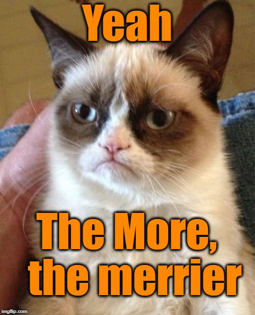 Grumpy Cat Meme | Yeah The More,  the merrier | image tagged in memes,grumpy cat | made w/ Imgflip meme maker