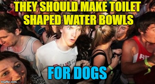 Sudden Clarity Clarence Meme | THEY SHOULD MAKE TOILET SHAPED WATER BOWLS FOR DOGS | image tagged in memes,sudden clarity clarence | made w/ Imgflip meme maker
