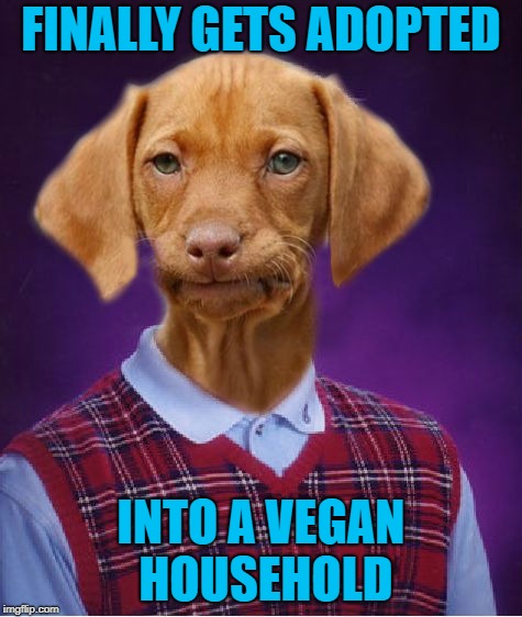 FINALLY GETS ADOPTED INTO A VEGAN HOUSEHOLD | made w/ Imgflip meme maker