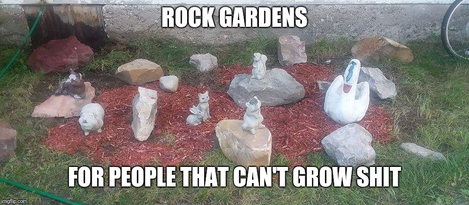 Like a rock...  Garden | ROCK GARDENS; FOR PEOPLE THAT CAN'T GROW SHIT | image tagged in memes | made w/ Imgflip meme maker