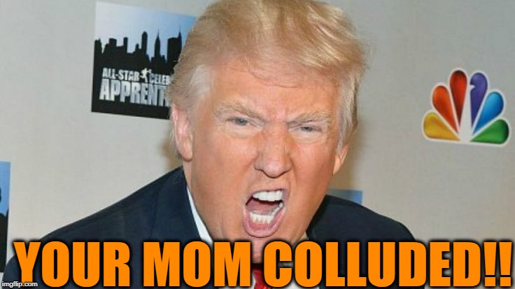 YOUR MOM COLLUDED!! | image tagged in trump mad | made w/ Imgflip meme maker