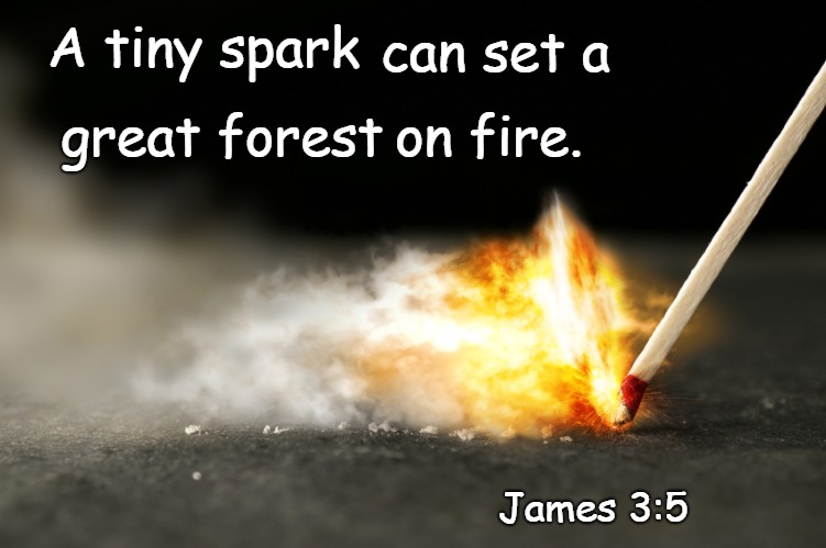 James 3:5 A Tiny Spark Can Set A Great Forest On Fire | can set a; A tiny spark; great forest; on fire. James 3:5 | image tagged in bible,bible verse,holy bible,verse,holy spirit,god | made w/ Imgflip meme maker