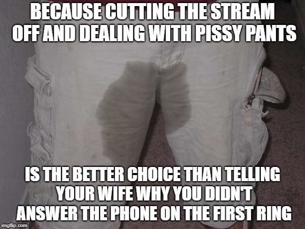Winning the war...not the battles | BECAUSE CUTTING THE STREAM OFF AND DEALING WITH PISSY PANTS; IS THE BETTER CHOICE THAN TELLING YOUR WIFE WHY YOU DIDN'T ANSWER THE PHONE ON THE FIRST RING | image tagged in wife,funny,ex-wife,piss,phone | made w/ Imgflip meme maker