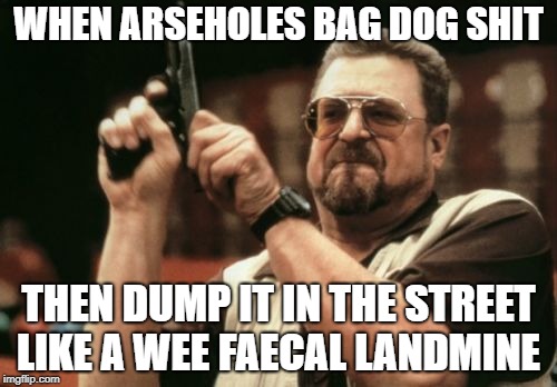 Am I The Only One Around Here Meme | WHEN ARSEHOLES BAG DOG SHIT; THEN DUMP IT IN THE STREET LIKE A WEE FAECAL LANDMINE | image tagged in memes,am i the only one around here | made w/ Imgflip meme maker